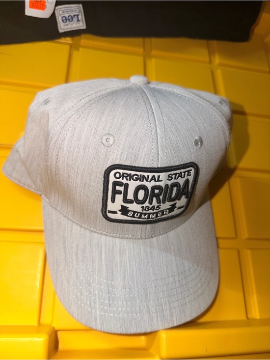 Lee Other - Robin Ruth Florida Original State Adjustable Snapback Hat Cap Gray
